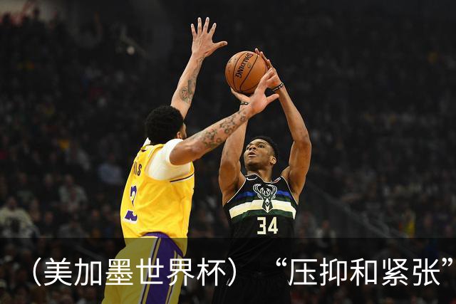 （美加墨世界杯）“压抑和紧张”中的伊朗队首秀